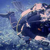 Picture taken during the dive