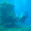 Picture taken during the dive