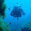 Picture taken during the dive