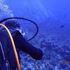 Picture taken during the dive
