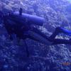 Picture taken during the dive