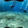 Picture taken during the dive
