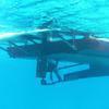 Picture taken during the dive