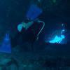 Picture taken during the dive