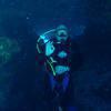 Picture taken during the dive