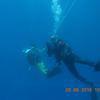 Picture taken during the dive