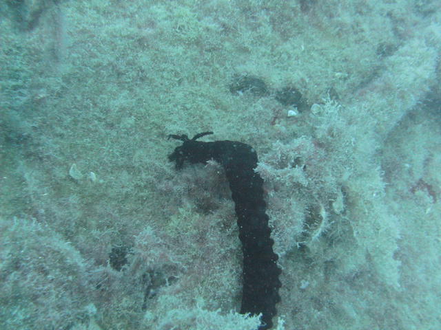 Aquaage Diving Center - Dive Center in Turkey