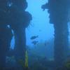 Picture taken during the dive