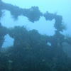 Picture taken during the dive