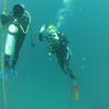 Picture taken during the dive