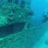 Picture taken during the dive