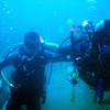 Picture taken during the dive