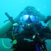 Picture taken during the dive