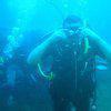 Picture taken during the dive