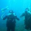 Picture taken during the dive