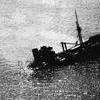 Picture taken during the dive