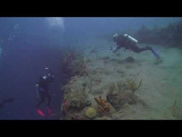 Saba Divers - Dive Center