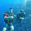 Picture taken during the dive