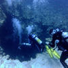 Picture taken during the dive