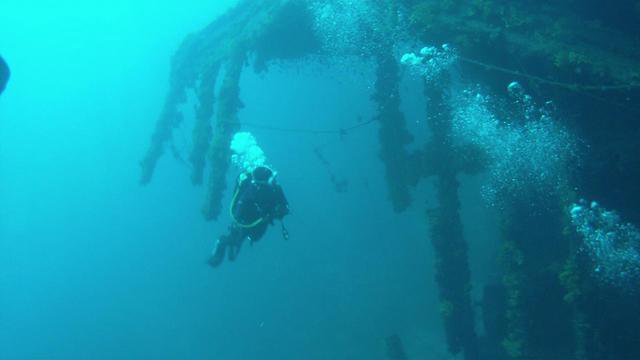 Diving Pelion - Dive Center in Greece