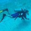 Picture taken during the dive