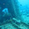 Picture taken during the dive
