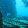 Picture taken during the dive