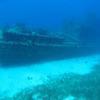 Picture taken during the dive