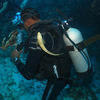 Picture taken during the dive