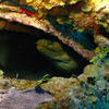 Picture taken during the dive
