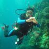 Picture taken during the dive