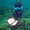 Picture taken during the dive