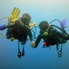 Picture taken during the dive