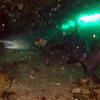 Picture taken during the dive