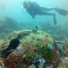 Picture taken during the dive