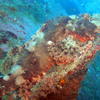 Picture taken during the dive