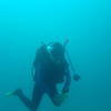 Picture taken during the dive