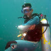 Picture taken during the dive
