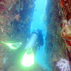 Picture taken during the dive