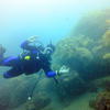 Picture taken during the dive