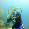 Picture taken during the dive