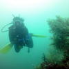 Picture taken during the dive