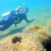 Picture taken during the dive