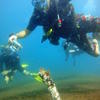 Picture taken during the dive
