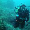 Picture taken during the dive
