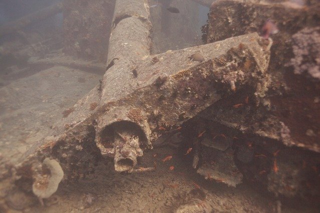 Dophin Diving Center - Dive Center in Egypt