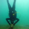 Picture taken during the dive