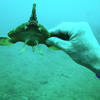 Picture taken during the dive