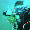 Picture taken during the dive