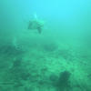 Picture taken during the dive